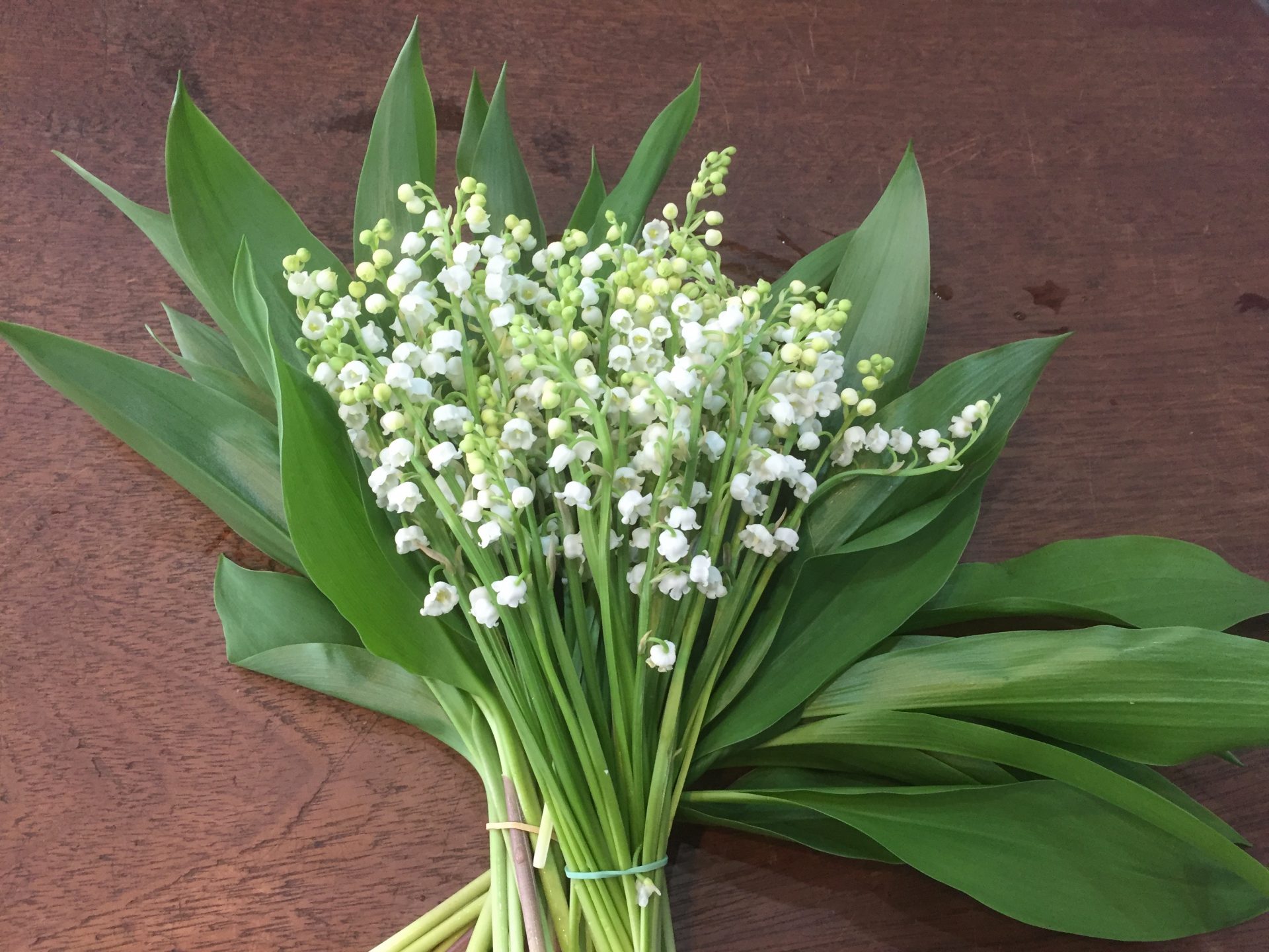 La vente de muguet sur la voie publique est réglementée... HonfleurInfos