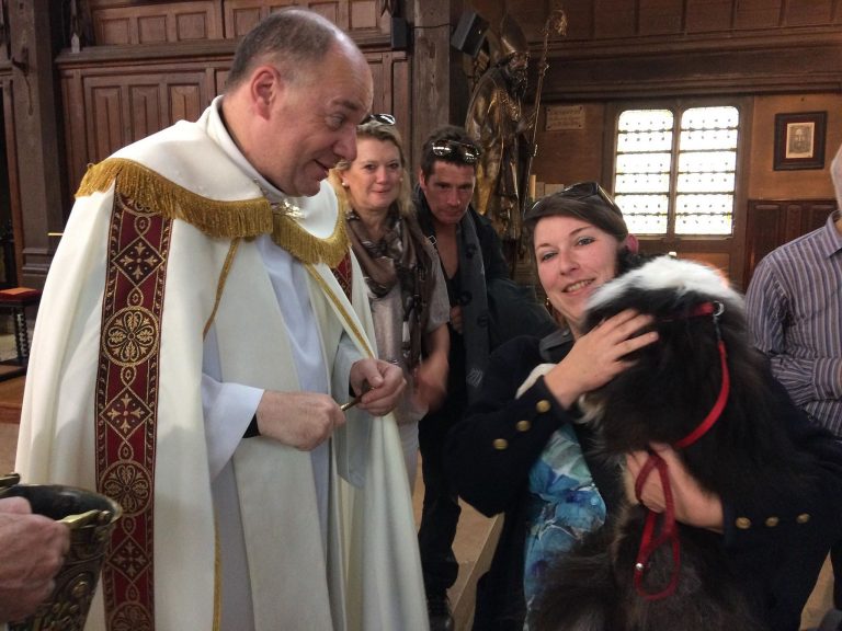 Monsieur le curé bénit entre 500 et 600 animaux de compagnie