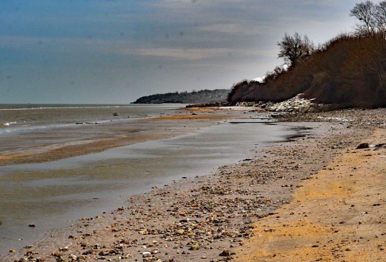 Les recherches se poursuivent pour tenter de localiser un animal sauvage sur le secteur de Pennedepie…