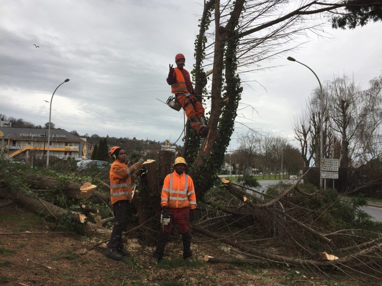 Il n’y a plus de sapins au rond-point du Poudreux…