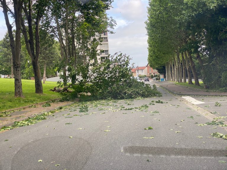 Honfleur : Le vent a soufflé à plus de 90 km/h cette nuit et ce matin