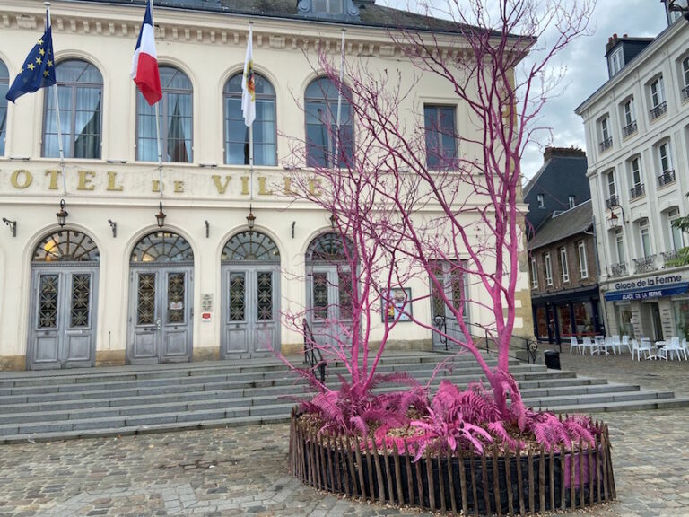 Honfleur : L’arbre mort renait pour « Octobre Rose »…