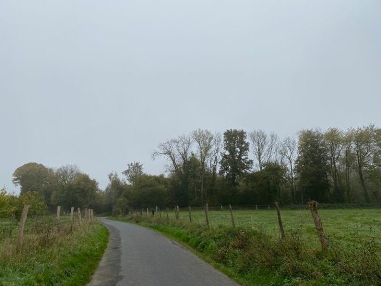 Gonneville-sur-Honfleur : Une liaison douce menant au collège Alphonse Allais pourrait voir le jour…