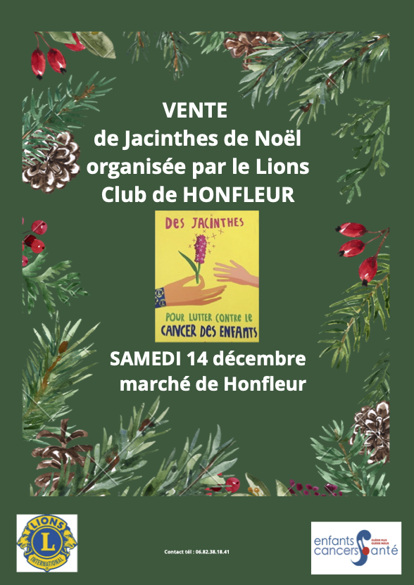 Honfleur : vente de jacinthes sur le marché…