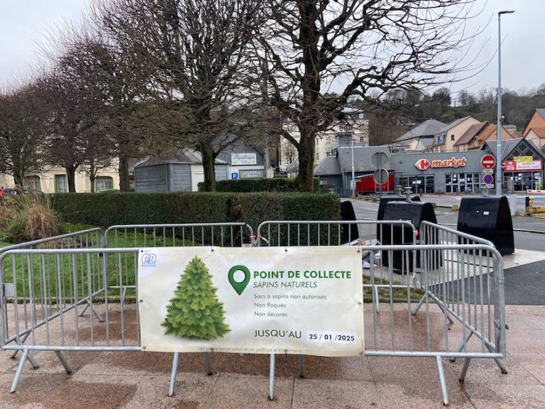 Honfleur : points de collecte des sapins de Noël