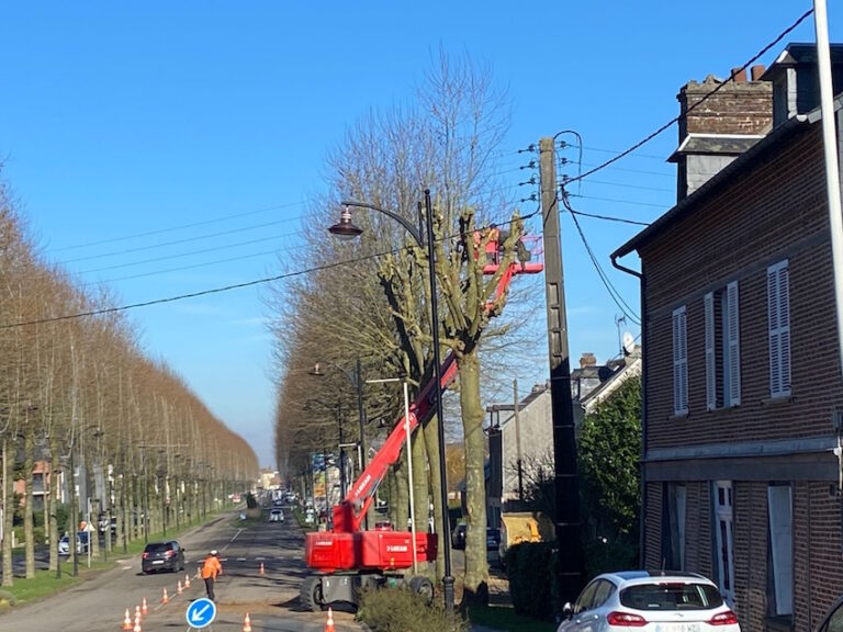 Honfleur : Élagage Cours Albert Manuel